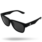 Hybrid Sunglasses
