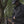 Load and play video in Gallery viewer, Shield Jacket
