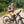 Load image into Gallery viewer, Contour Slate Short Sleeve MTB Jersey
