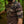 Load image into Gallery viewer, Woodland Camo Short Sleeve MTB Jersey
