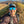 Load image into Gallery viewer, Trail running wearing Odyssey Activewear Cyclops Sports Sunglasses
